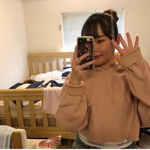 Champion cropped hoodie